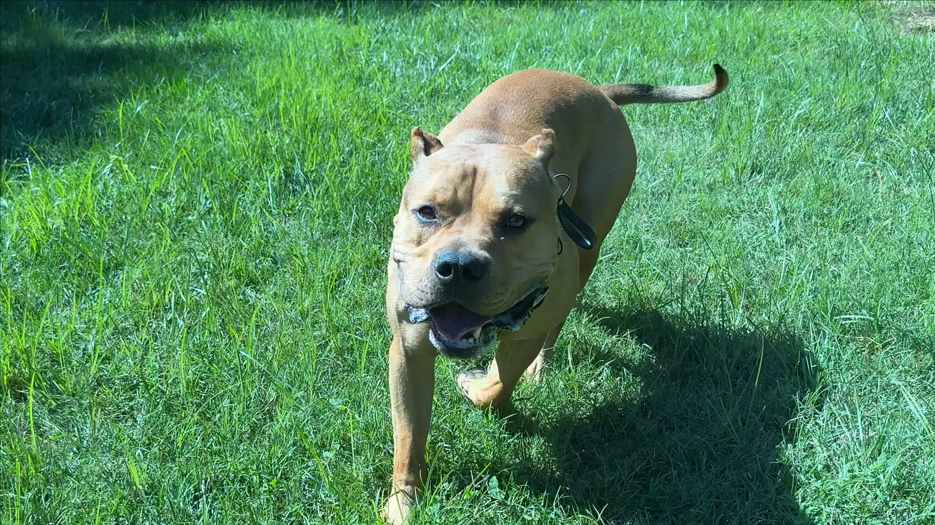 George before training