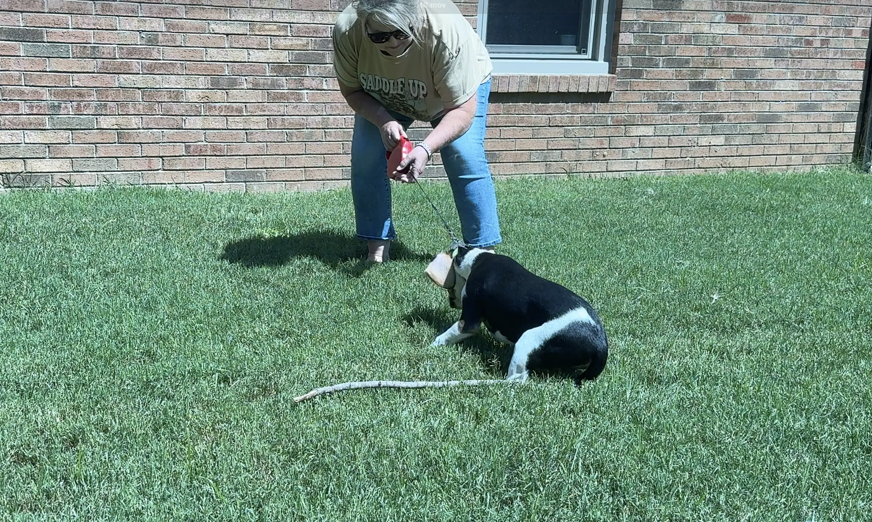 Hank before training
