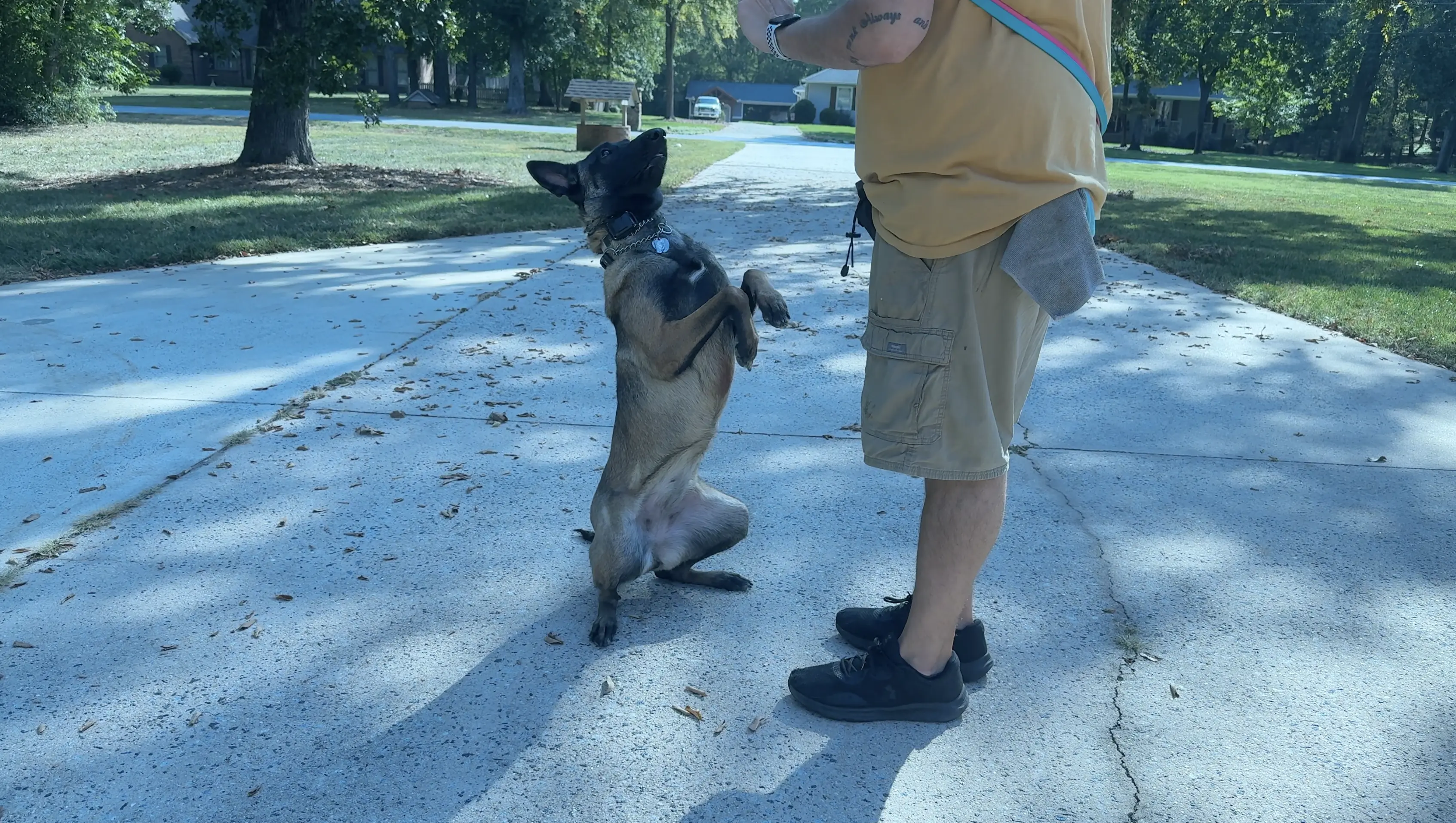 Shadow after training