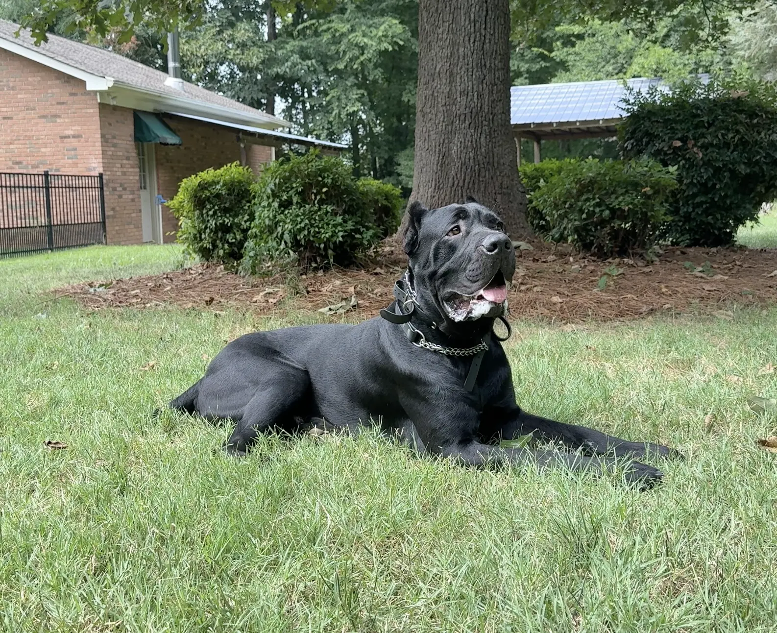 Smoke before training